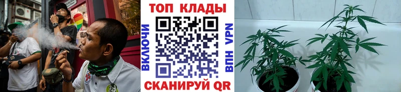 Купить наркоту Владикавказ ГАШИШ АМФЕТАМИН Мефедрон Кокаин