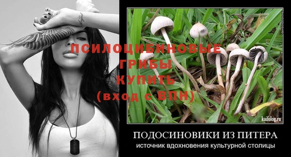 метадон Бородино
